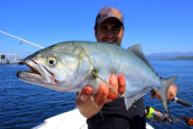 Hayallerine Olta Atanlar : Savaş Dursun