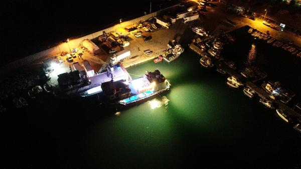 Zonguldak'ta Hamsi Bereketi