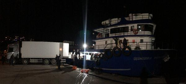 Zonguldak'ta Hamsi Bereketi