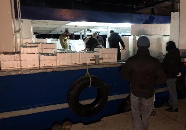 Zonguldak'ta Hamsi Bereketi