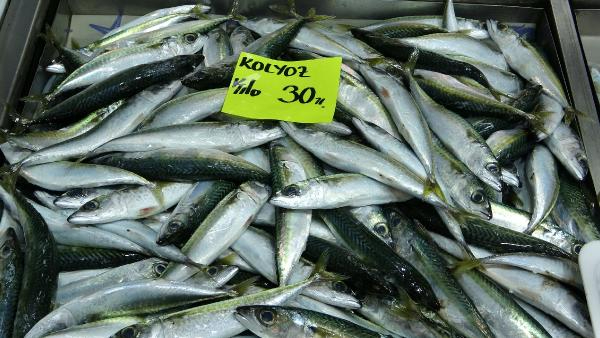 Çanakkale balık piyasası hareketli