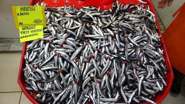 Çanakkale balık piyasası hareketli