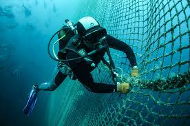 Hayalet ağlar neler yapıyor?