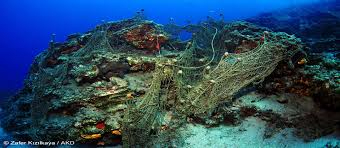 Hayalet ağlar neler yapıyor?