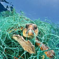 Hayalet ağlar neler yapıyor?