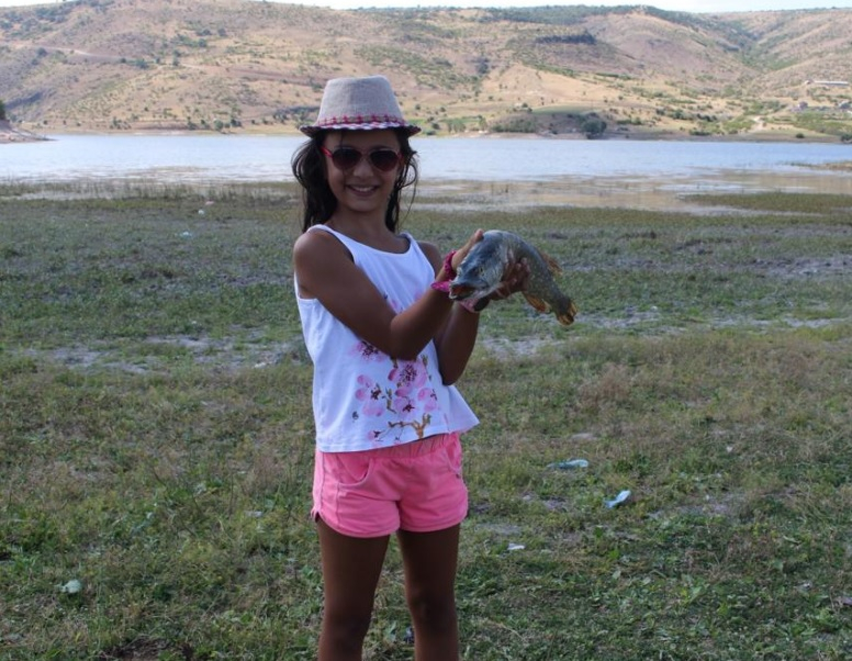 SİNABDER Faaliyetleri Resim Galerisi