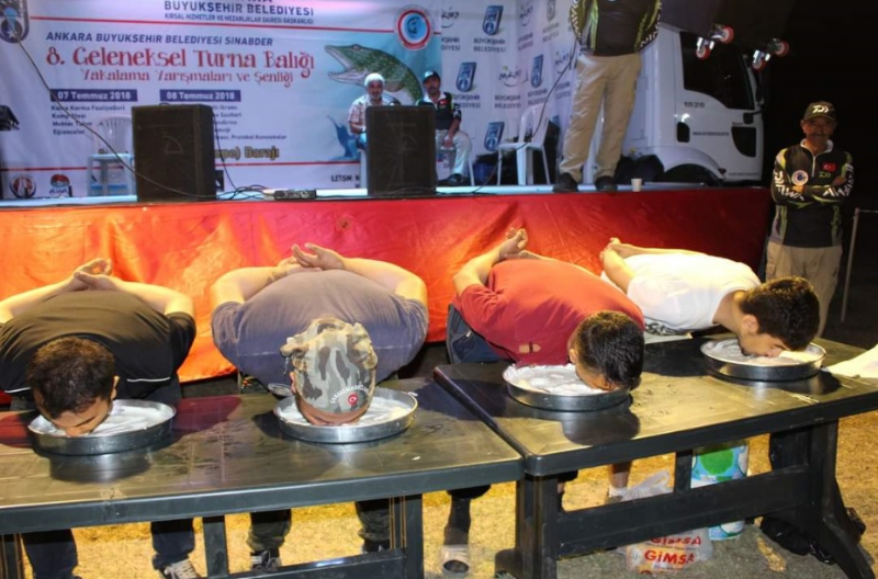 SİNABDER Faaliyetleri Resim Galerisi