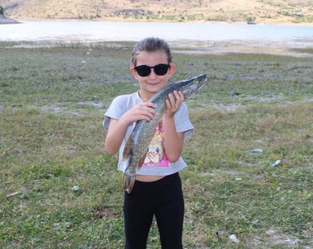 SİNABDER Faaliyetleri Resim Galerisi