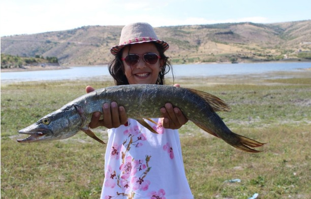 SİNABDER Faaliyetleri Resim Galerisi