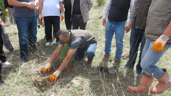SİNABDER Faaliyetleri Resim Galerisi