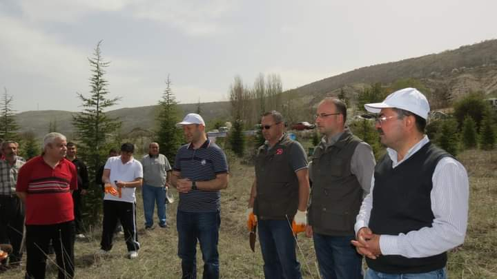 SİNABDER Faaliyetleri Resim Galerisi