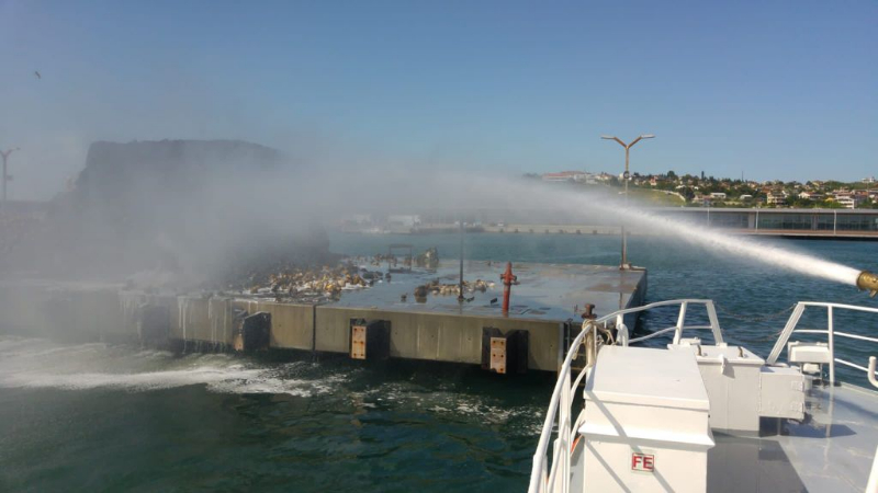 Beylikdüzü Su Ürünleri Hali'nde yangın