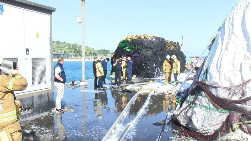 Beylikdüzü Su Ürünleri Hali'nde yangın