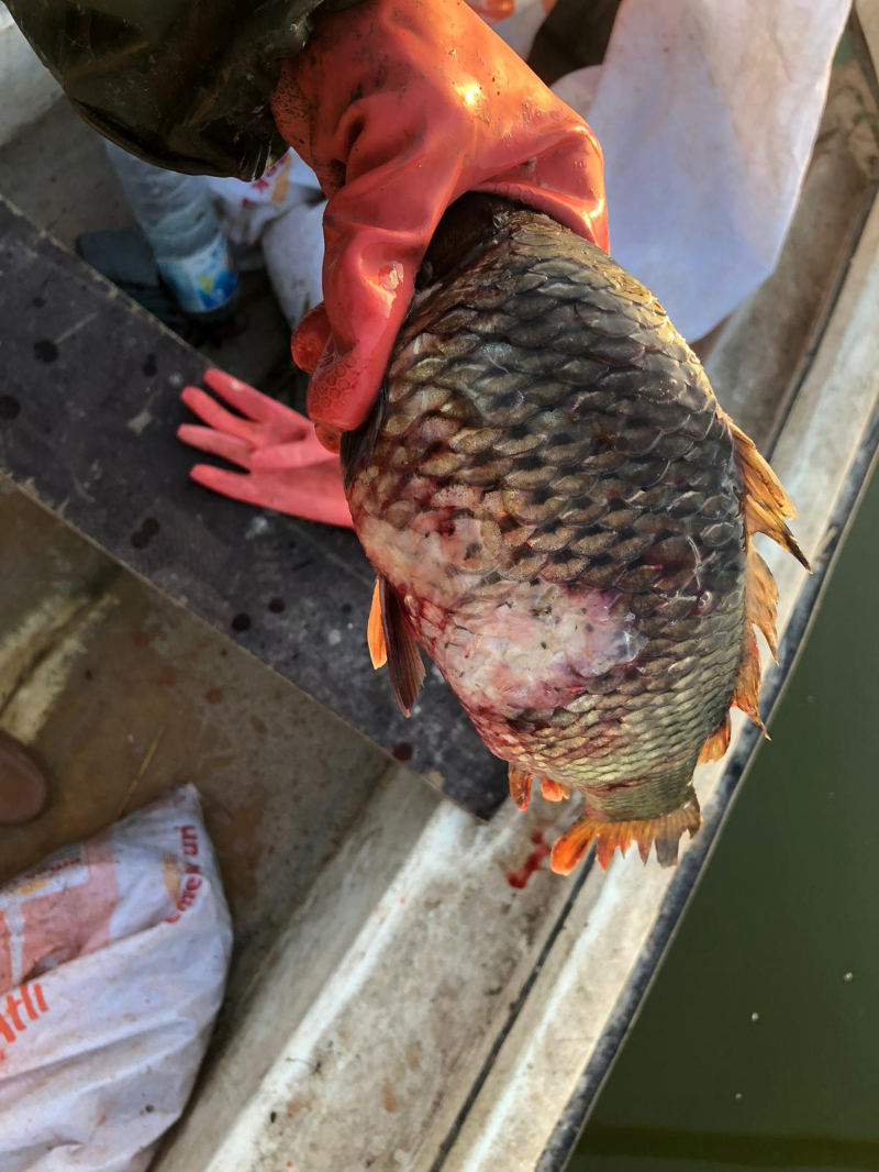 ASOF'tan Uyarı: İç Sularımızda Acil Durum