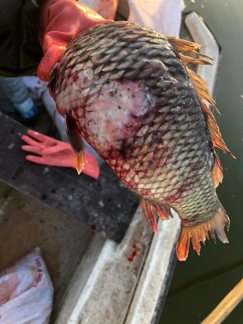 ASOF'tan Uyarı: İç Sularımızda Acil Durum