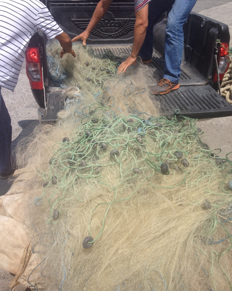 Misina ağlar katil midir?