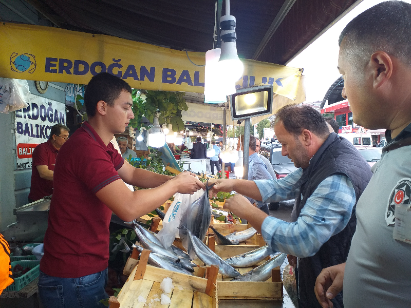 Zonguldak'ta palamut bolluğu fiyatlara yansıdı