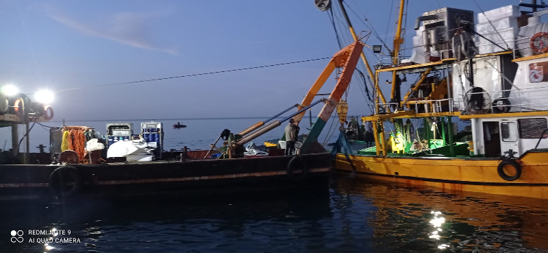 Kurtarılan balıkçı teknesi Duru 67 tersaneye götürülürken battı