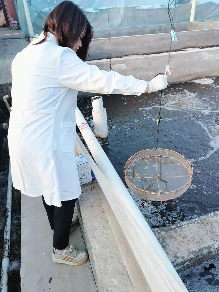 Farmavet Ürettiği Yem Katkıları ile Çin Pazarında