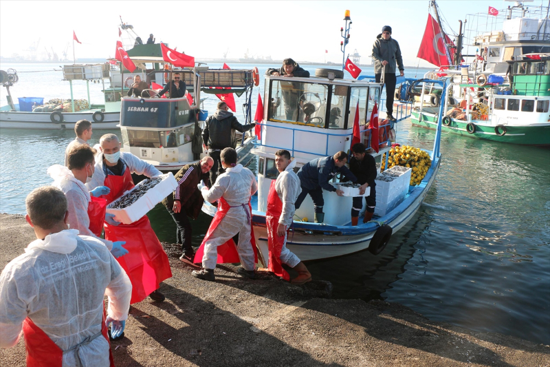 Zonguldak'ta hamsi festivalinde 15 ton balık dağıtıldı