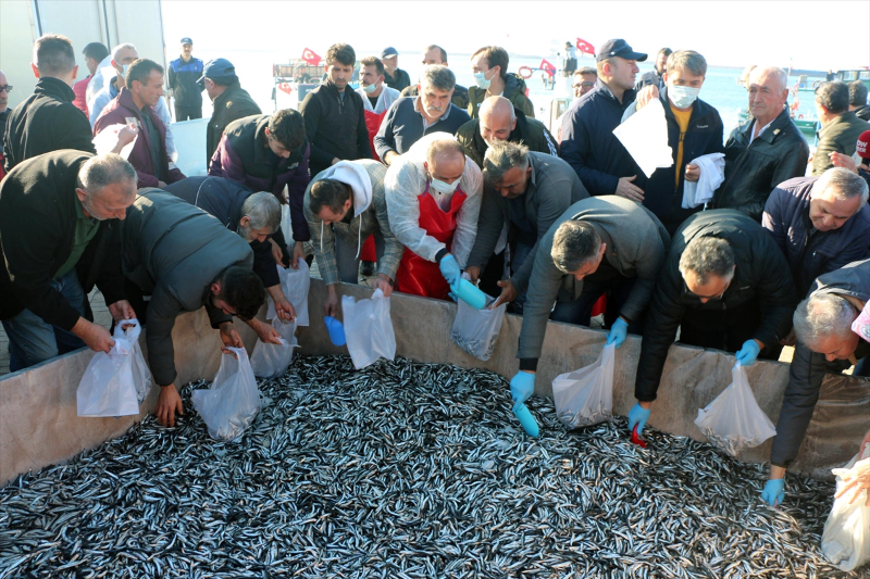 Zonguldak'ta hamsi festivalinde 15 ton balık dağıtıldı