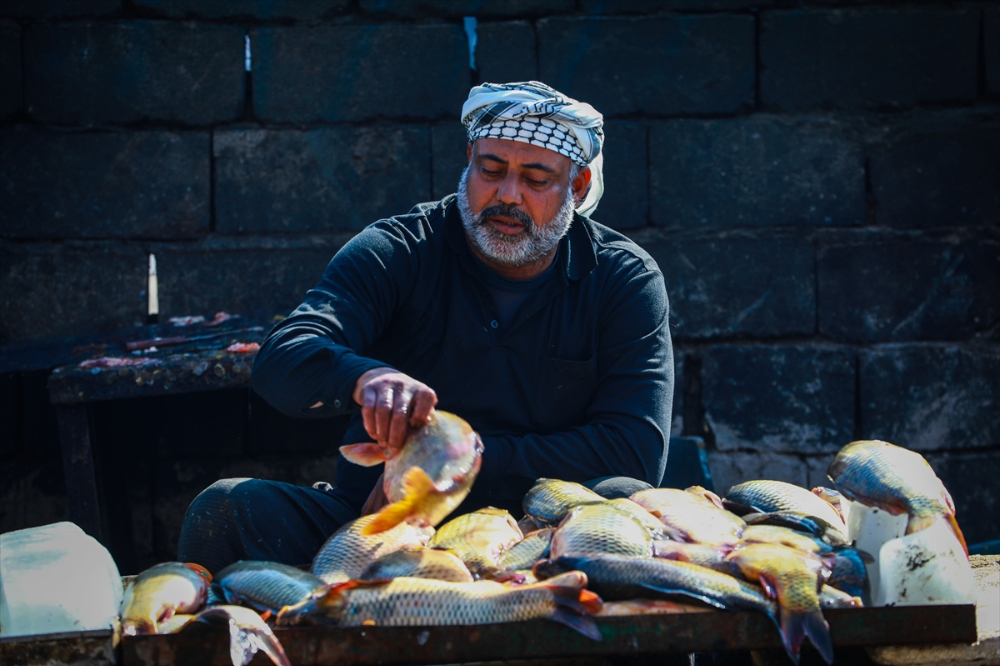 Basra'da Balık Pazarı
