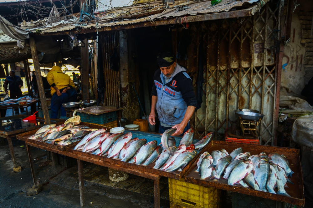 Basra'da Balık Pazarı