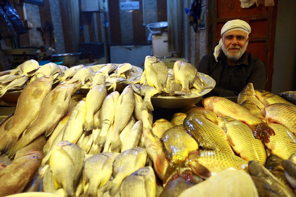 Basra'da Balık Pazarı