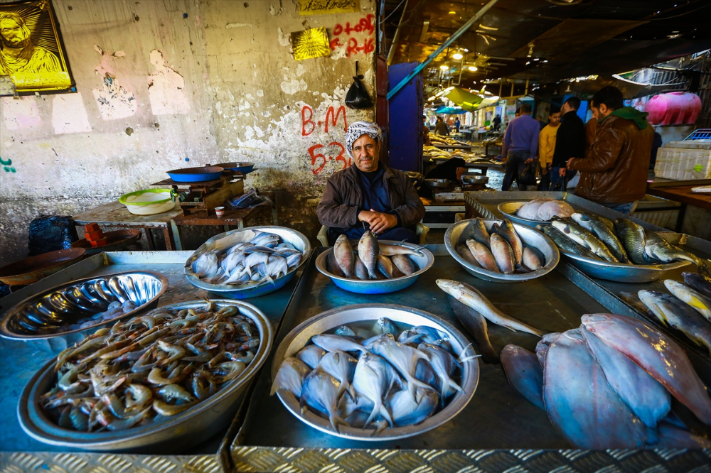 Basra'da Balık Pazarı
