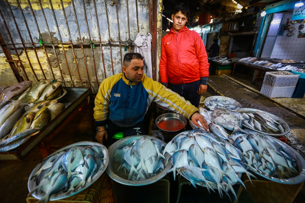 Basra'da Balık Pazarı