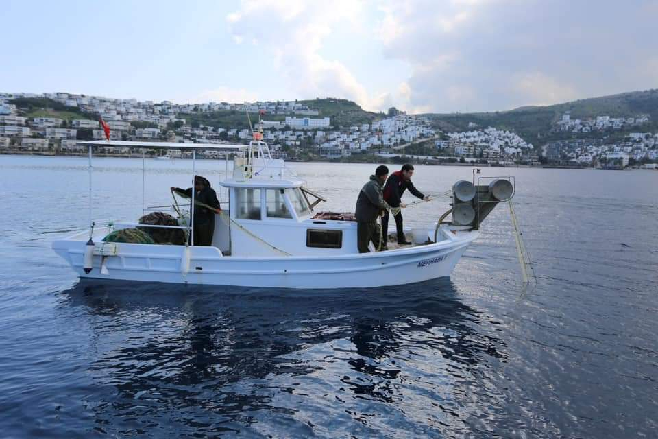 Depremzedeler için Bodrum'da Rekor Balık Mezatı