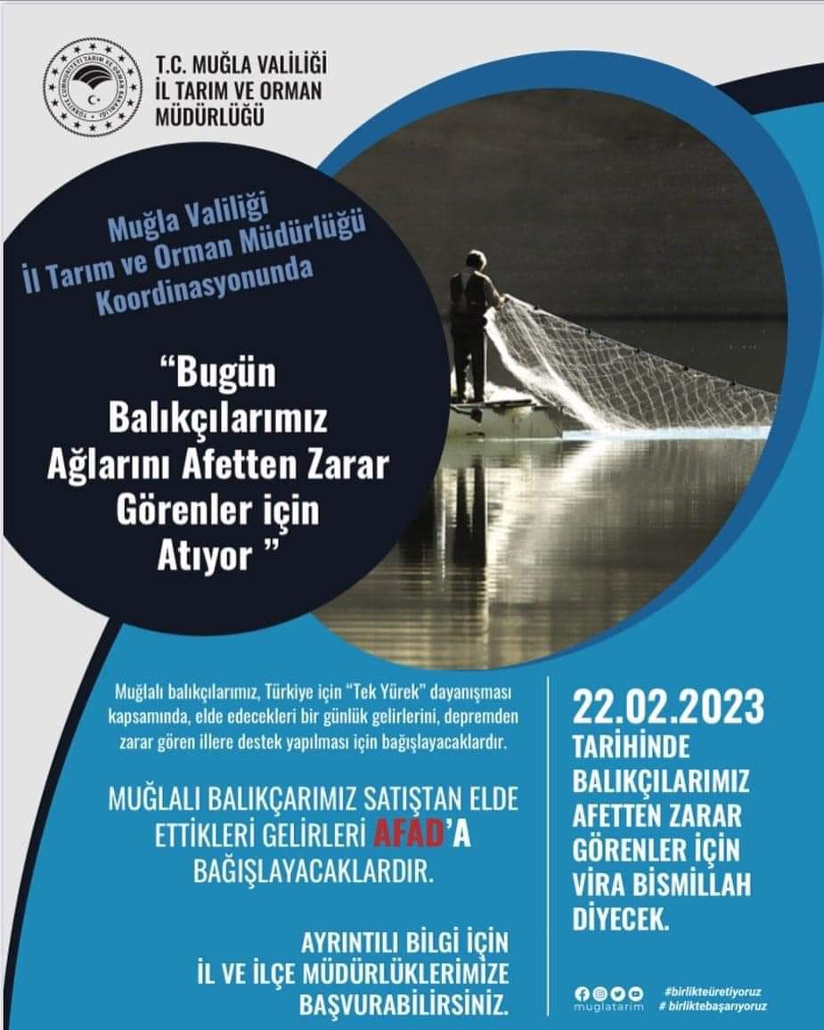 Depremzedeler için Bodrum'da Rekor Balık Mezatı