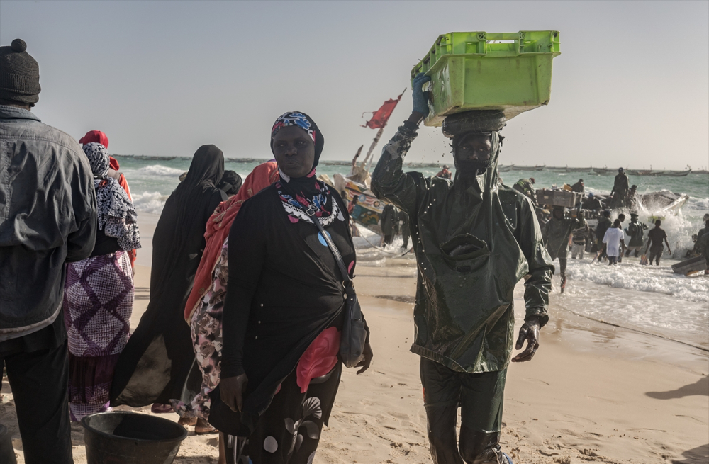 Moritanya'da balıkçıların avlanma mesaisi
