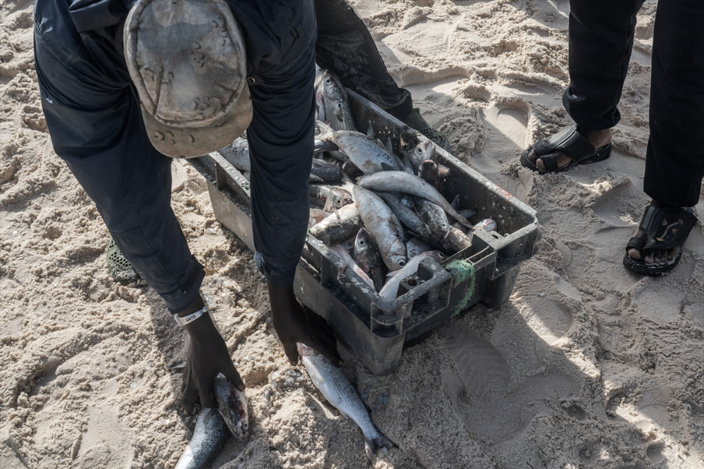 Moritanya'da balıkçıların avlanma mesaisi