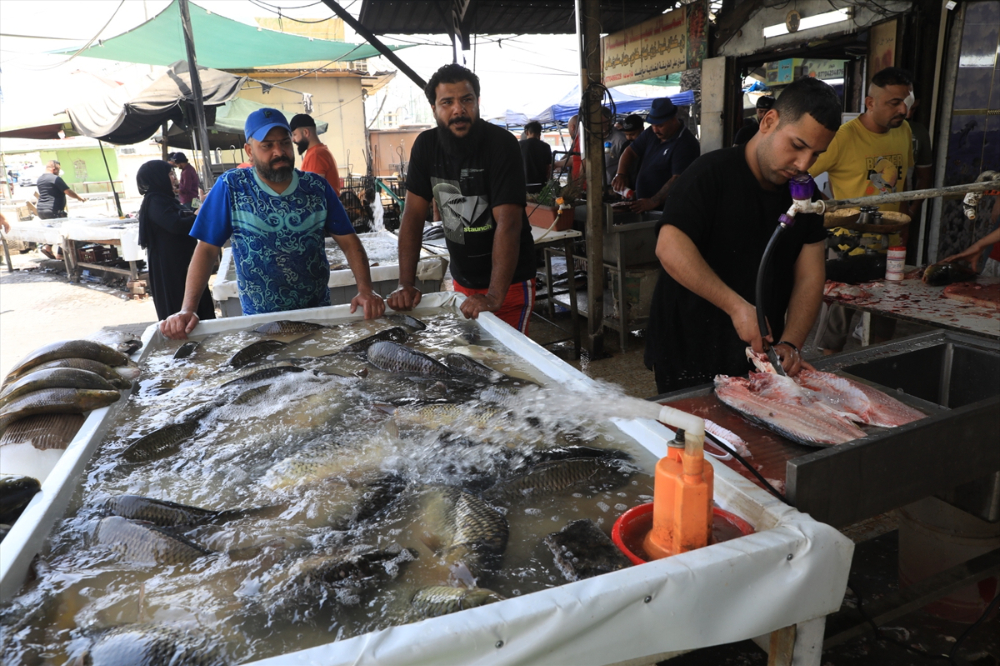 Bağdat Balık Pazarı