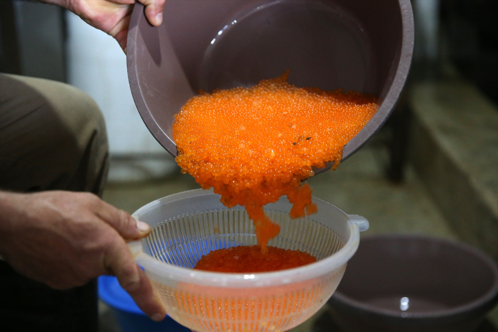 Pınarbaşı ilçesinde alabalık yavrusu üretim kapasitesi 220 milyon adede ulaştı