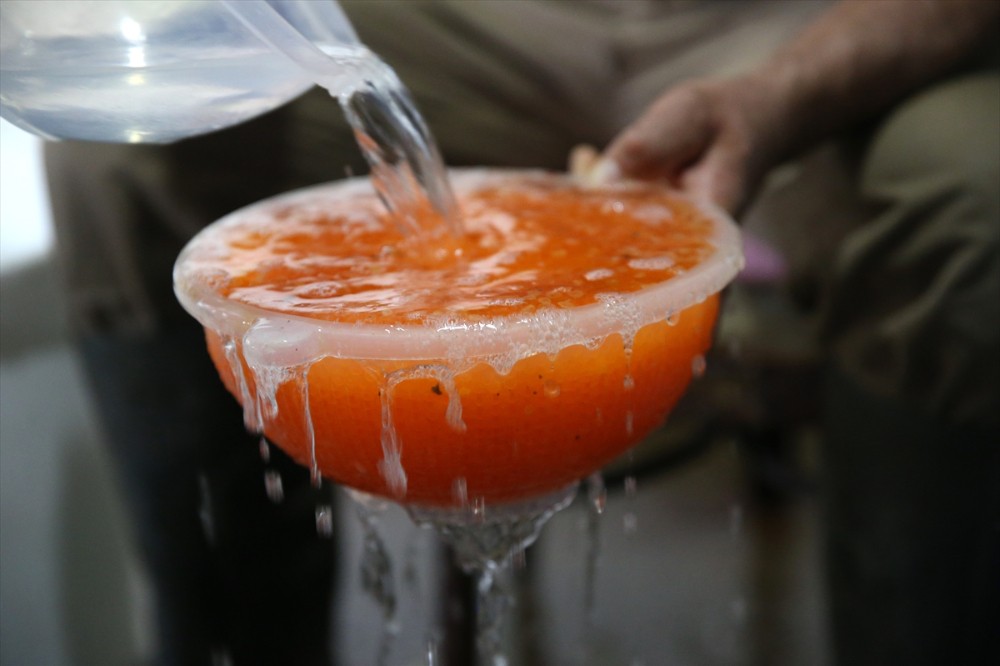 Pınarbaşı ilçesinde alabalık yavrusu üretim kapasitesi 220 milyon adede ulaştı