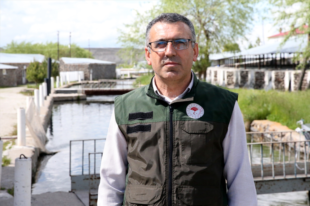 Pınarbaşı ilçesinde alabalık yavrusu üretim kapasitesi 220 milyon adede ulaştı