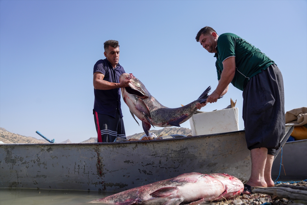 Irak'ta av yasağının bitmesiyle balıkçılar ağlarını sulara atmaya başladı