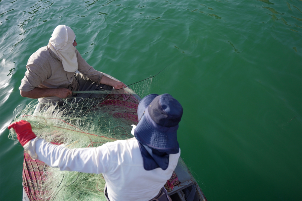 Irak'ta av yasağının bitmesiyle balıkçılar ağlarını sulara atmaya başladı