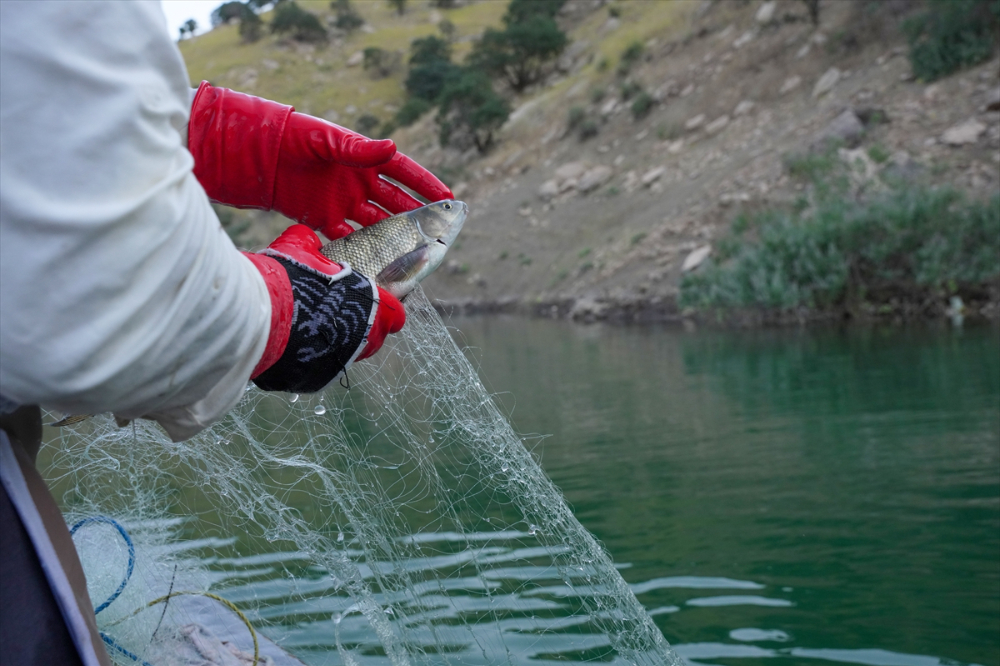 Irak'ta av yasağının bitmesiyle balıkçılar ağlarını sulara atmaya başladı