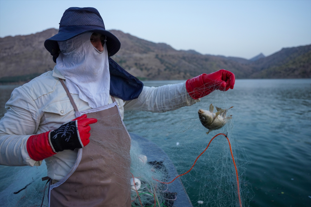 Irak'ta av yasağının bitmesiyle balıkçılar ağlarını sulara atmaya başladı