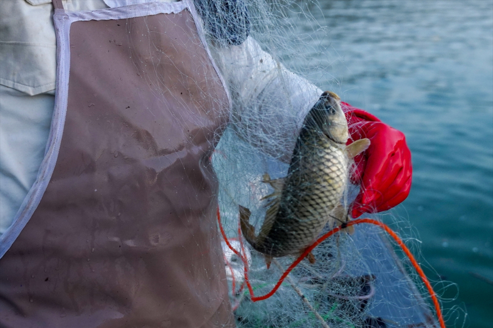 Irak'ta av yasağının bitmesiyle balıkçılar ağlarını sulara atmaya başladı