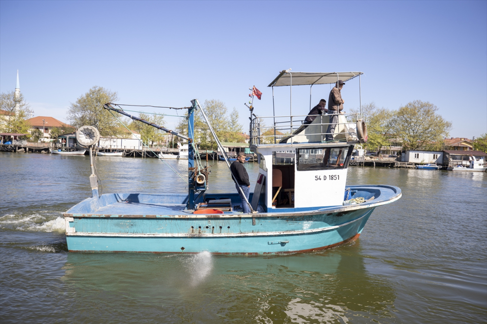 Sakarya, Zonguldak ve Kocaeli'de balıkçılar, av yasağının başlamasıyla limanlara demirledi