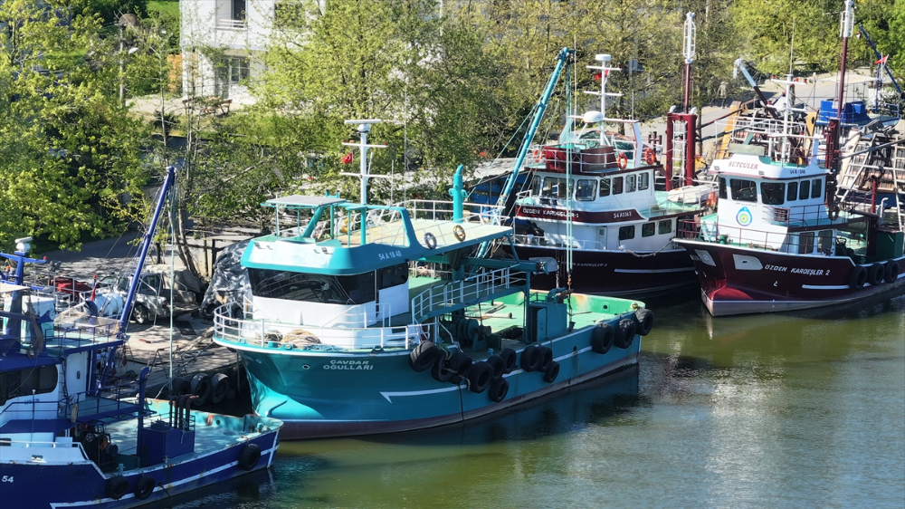 Sakarya, Zonguldak ve Kocaeli'de balıkçılar, av yasağının başlamasıyla limanlara demirledi