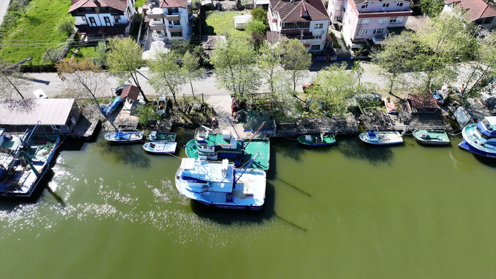 Sakarya, Zonguldak ve Kocaeli'de balıkçılar, av yasağının başlamasıyla limanlara demirledi