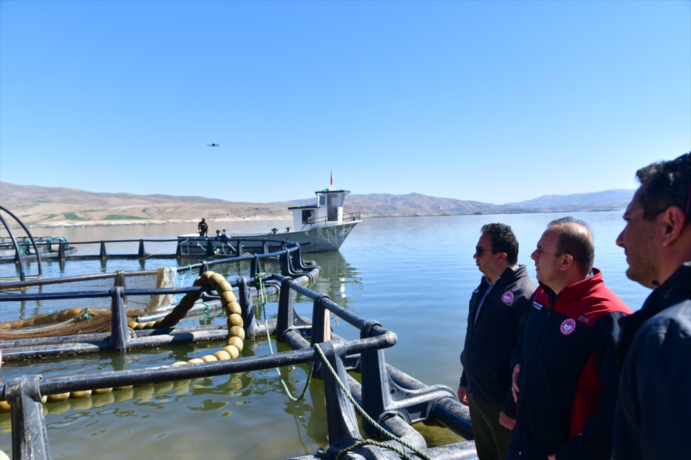 Denizi olmayan Kayseri'de Türk somonu hasadı başladı