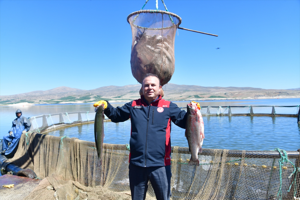 Denizi olmayan Kayseri'de Türk somonu hasadı başladı