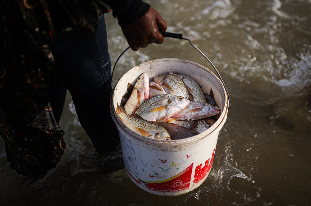 Senegal’de halkın geçim kaynağı ‘’balıkçılık’’