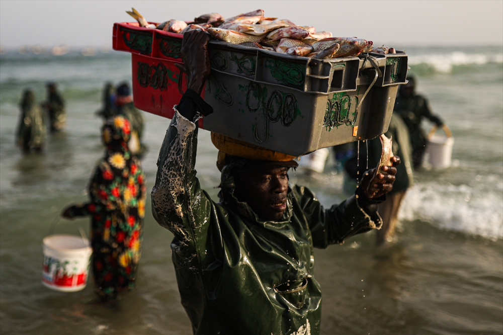 Senegal’de halkın geçim kaynağı ‘’balıkçılık’’